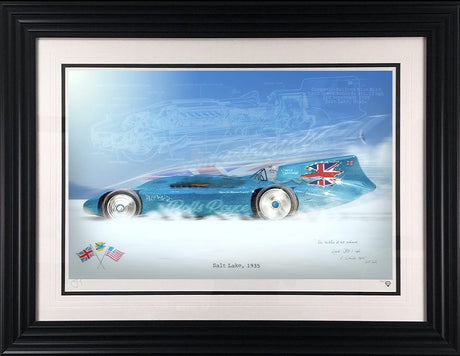 Bluebird Framed Signed Limited Edition Print on Paper by Artist JJ Adams